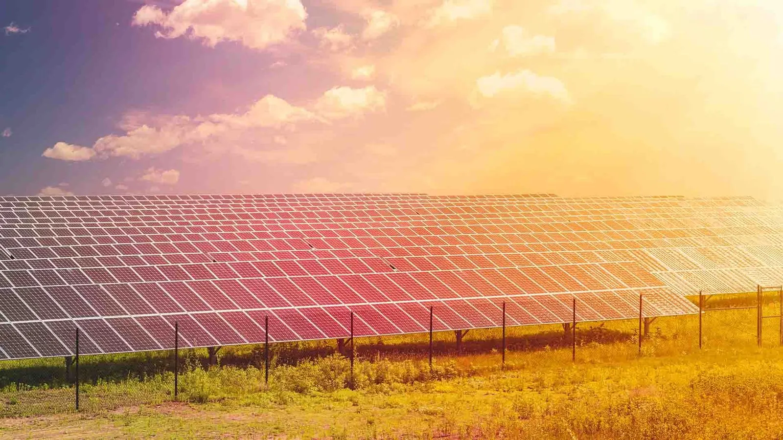Solar farm at sunset